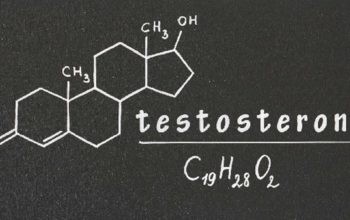 Testosterone Fights Inflammation