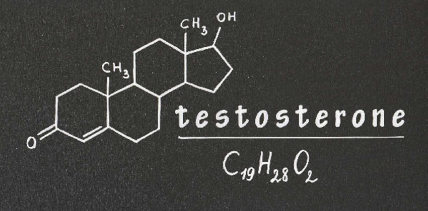 Testosterone Fights Inflammation