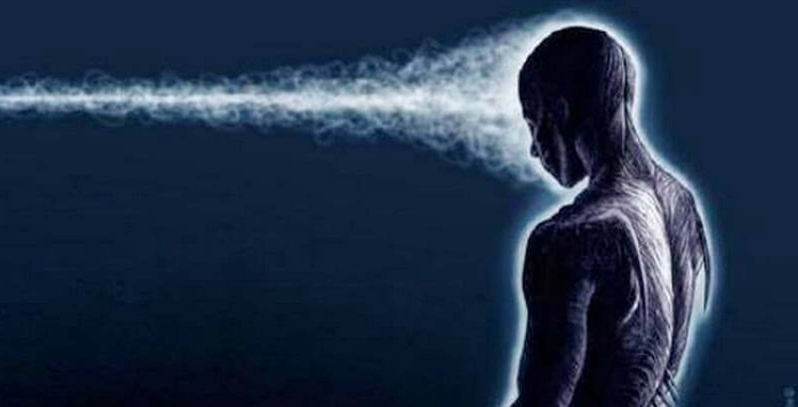 Brain Power
