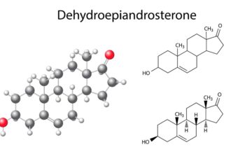 DHEA: What It Is