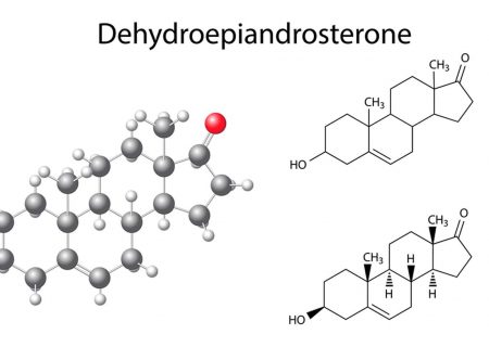 DHEA: What It Is