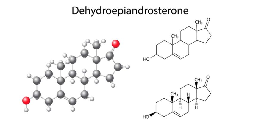 DHEA: What It Is