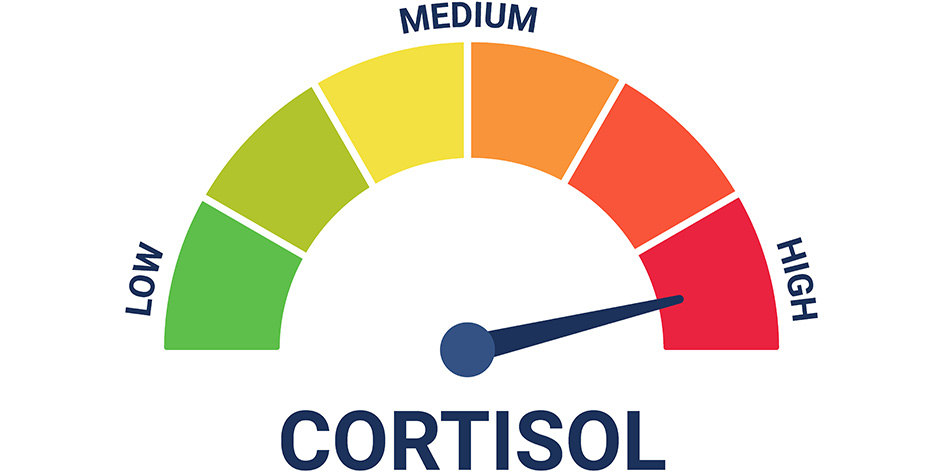 Cortisol Level