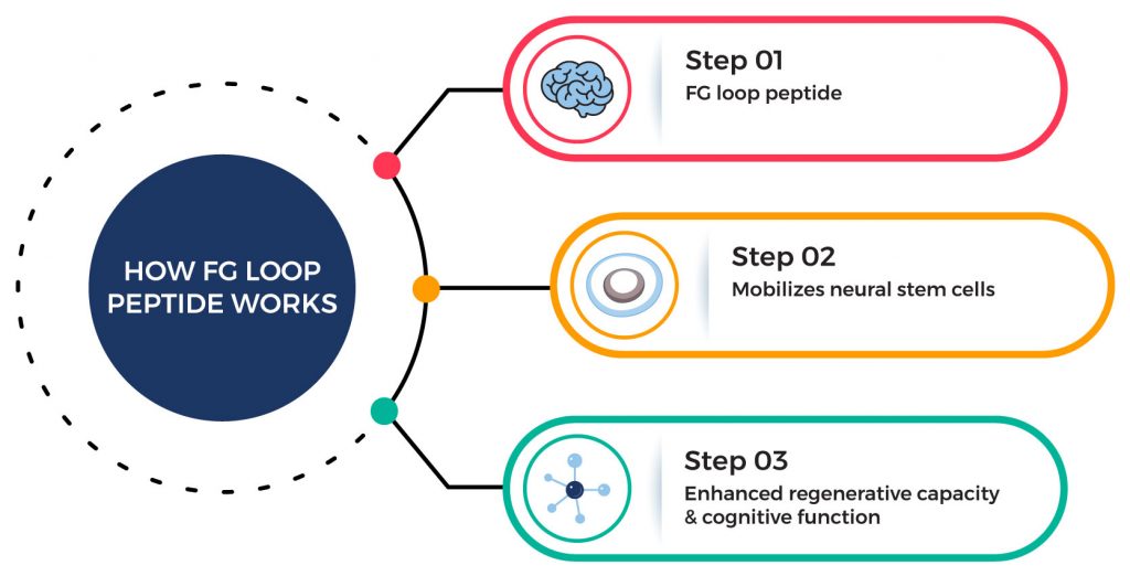 FG Loop Peptide