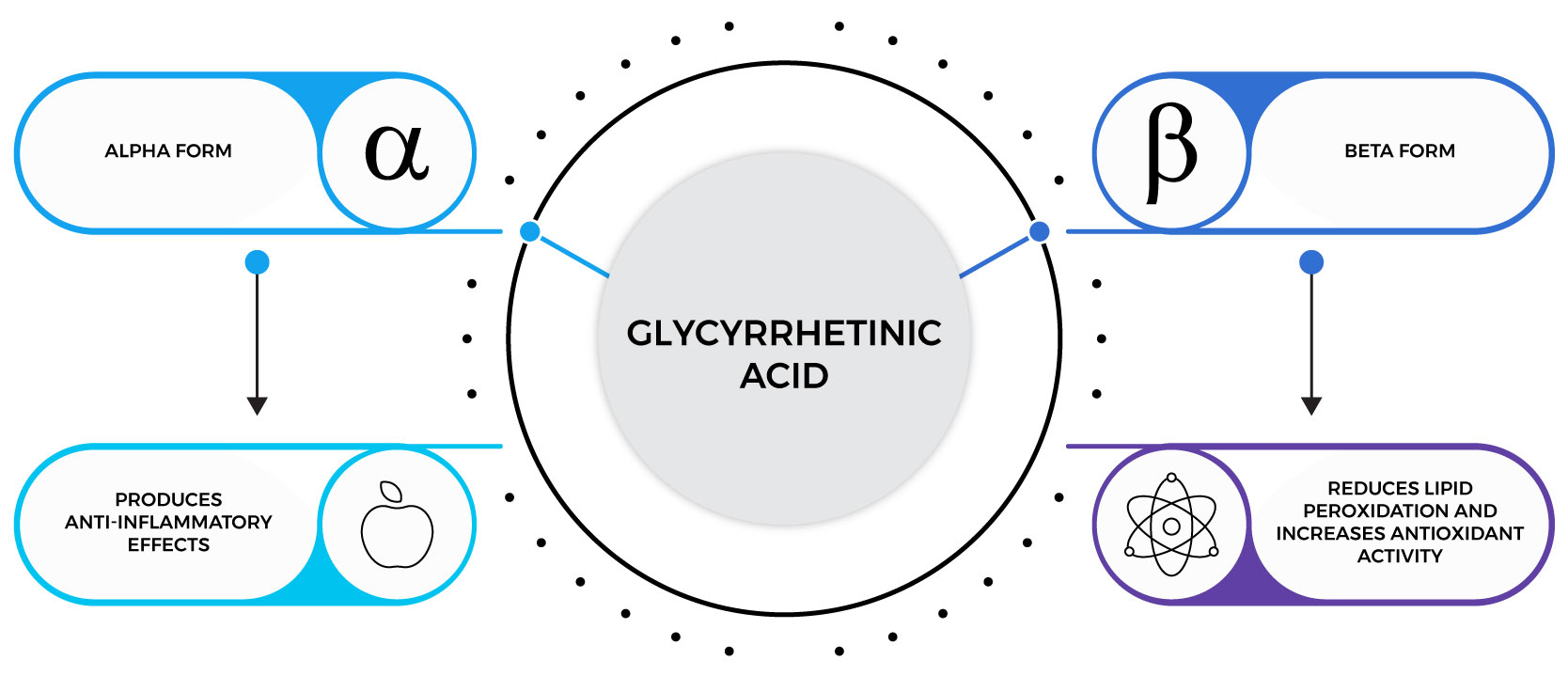 Glycyrrhetinic Acid Leader In AntiAging & Hormone Replacement For