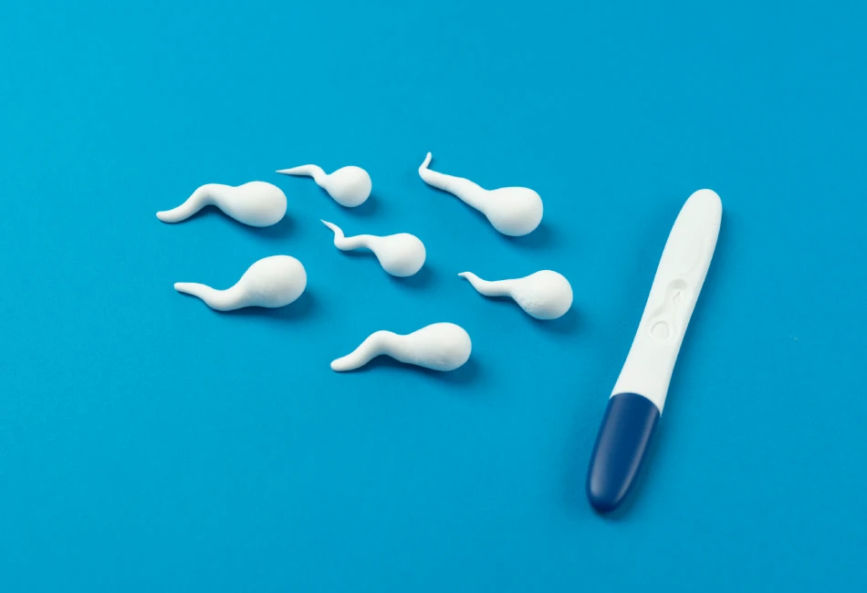 Improves Sperm Quality
