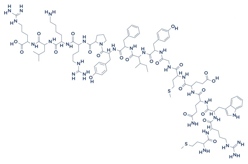 Mitochondrial-ORF-of-the-twelve-S-c-(MOTS-c)