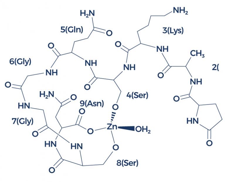 Zinc Thymulin 768x621