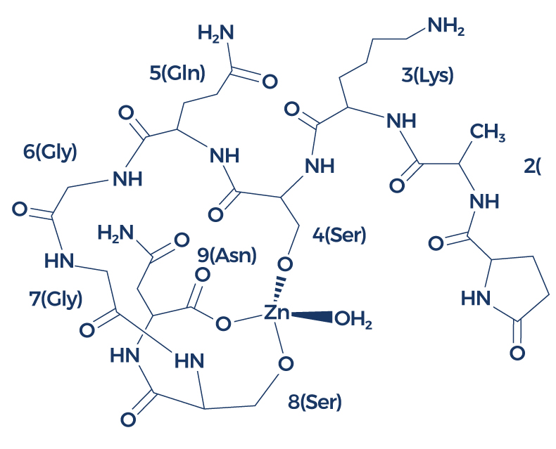 Zinc-Thymulin