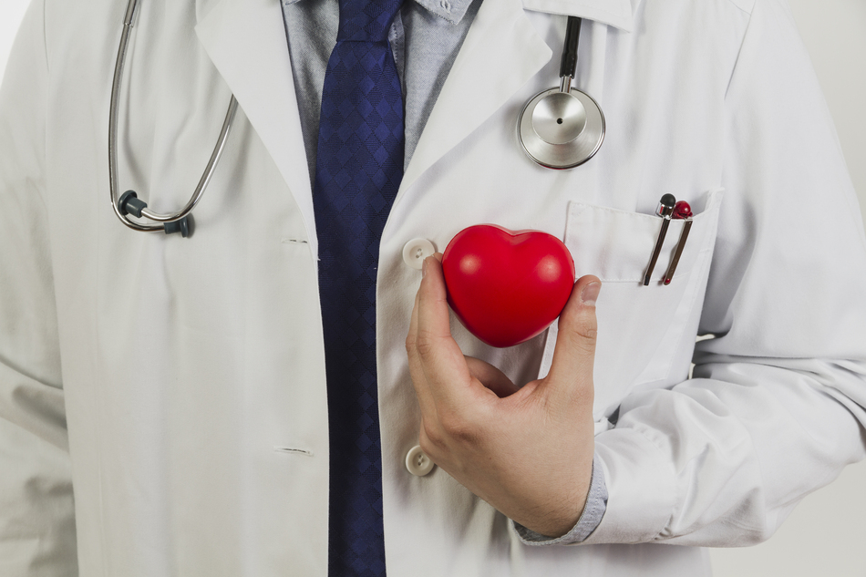 doctor showing plastic heart