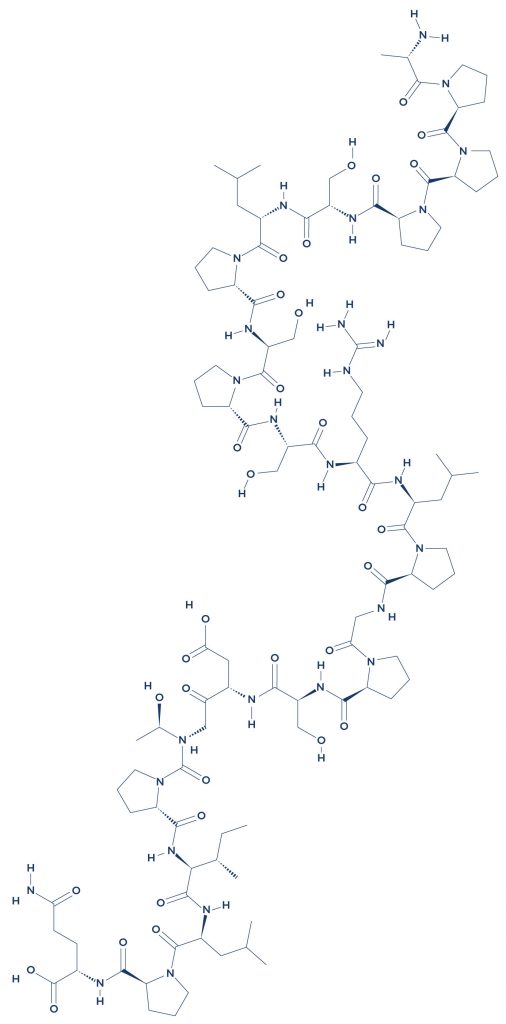 Human Chorionic Gonadotropin