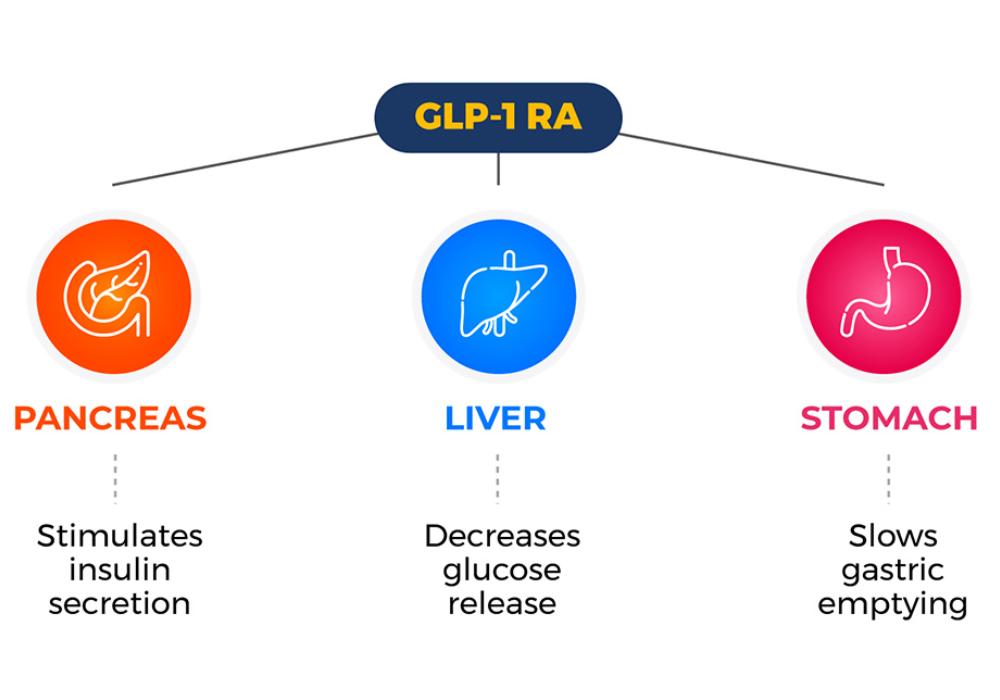 How does Semaglutide Work?