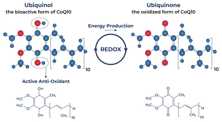 Image of a detailed diagram showing how ubiquinol works in the body.