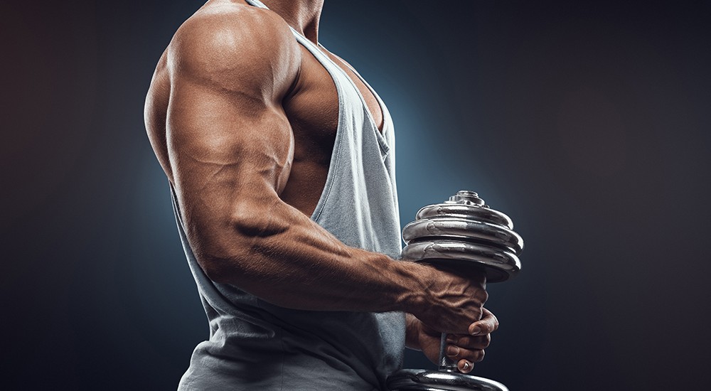 LGD-3033 for Muscle Mass and Strength