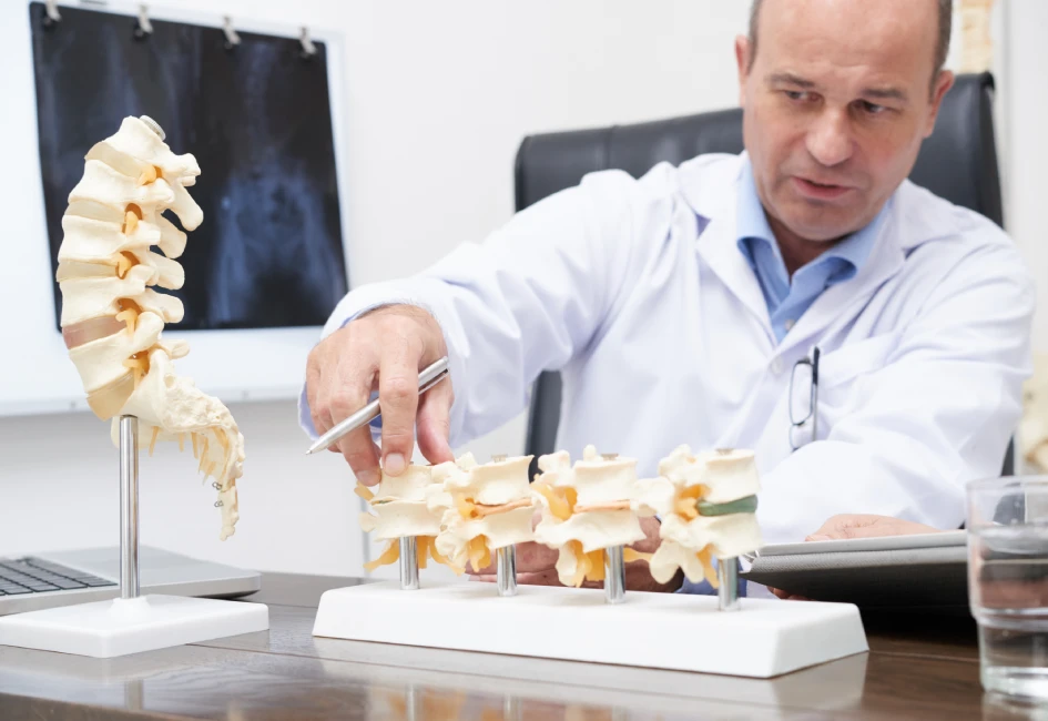 May Help Maintain Bone Strength and Quality
