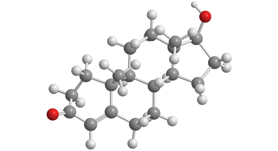 Testosterone for women