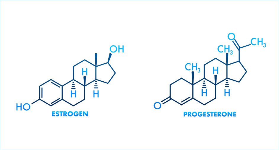 estrogen and progesterone in men