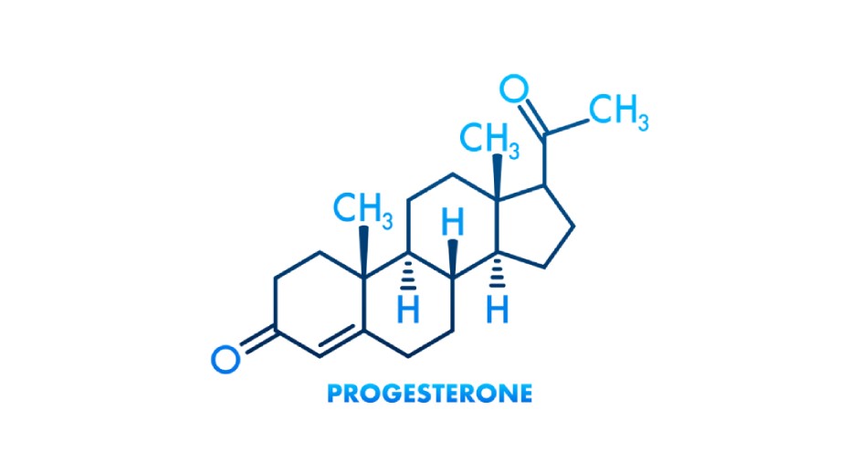 bioidentical progesterone